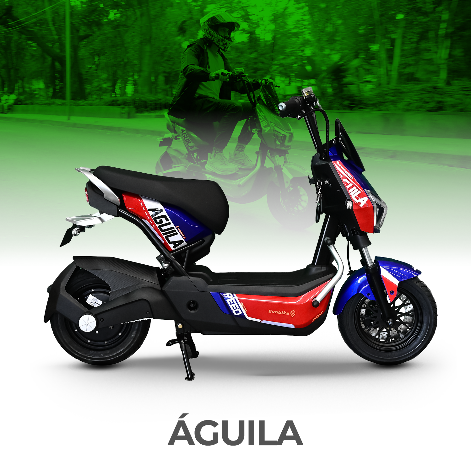 Bicicleta Eléctrica ÁGUILA