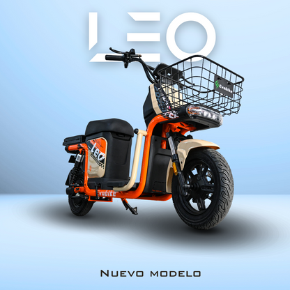 LEO Electric Bike 