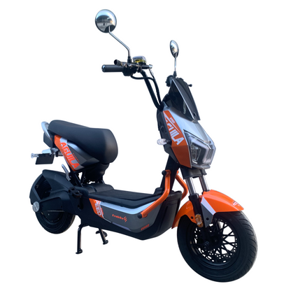 AGUILA Electric Bicycle