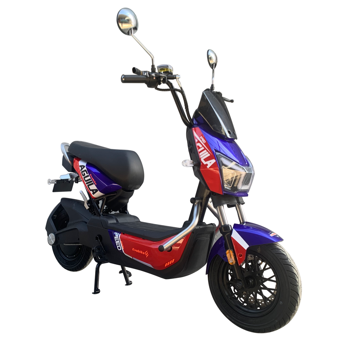 Bicicleta Eléctrica ÁGUILA