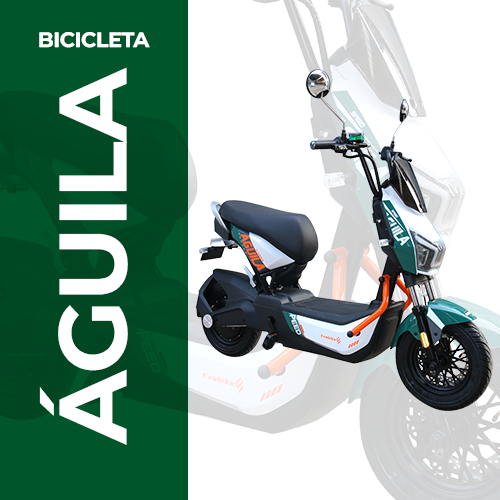 Bicicleta Eléctrica ÁGUILA