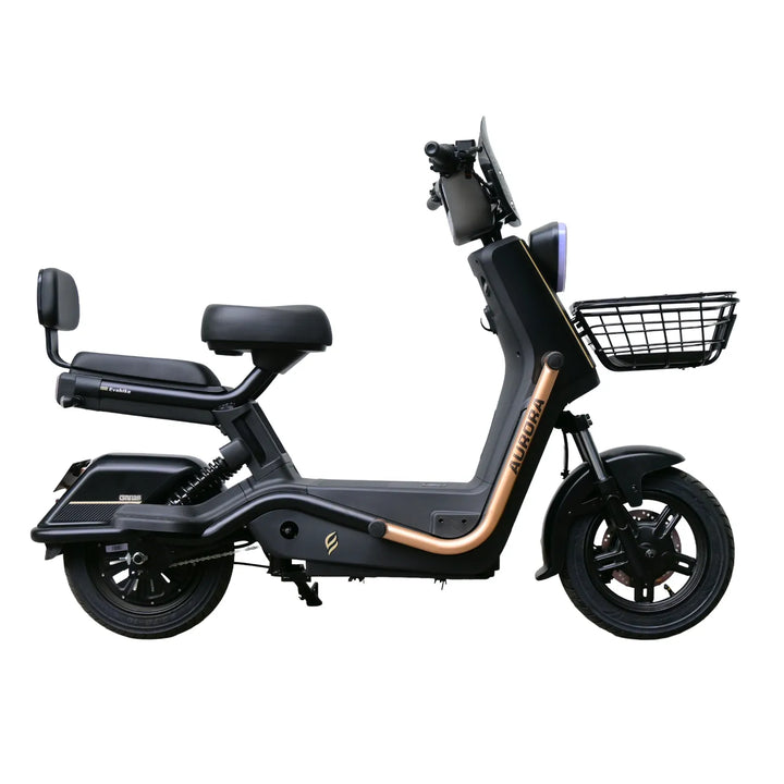 Bicicleta eléctrica AURORA negro y dorado Evobike
