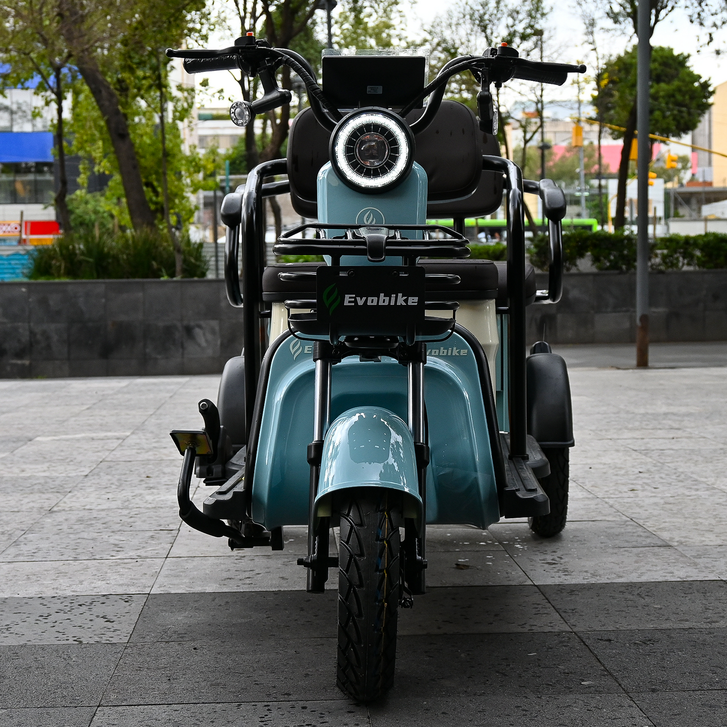 FAMILY PLUS Electric Tricycle