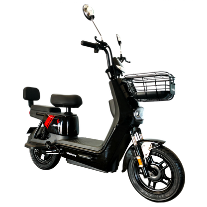 GALAXY Electric Bike