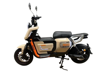 Bicicleta Eléctrica ZEUS