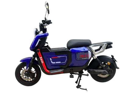 Bicicleta Eléctrica ZEUS