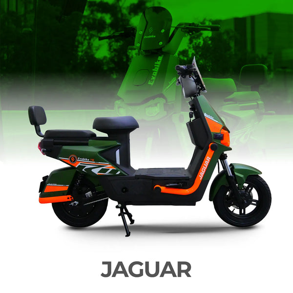 Bicicleta eléctrica JAGUAR Evobike
