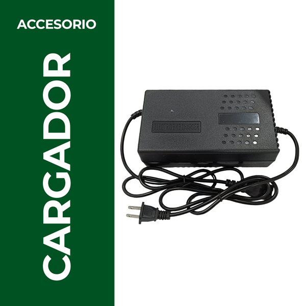 Cargador 48V/12Ah