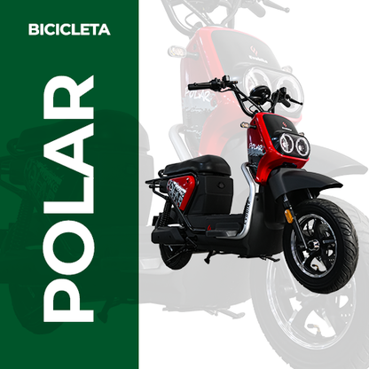 POLAR Electric Bike