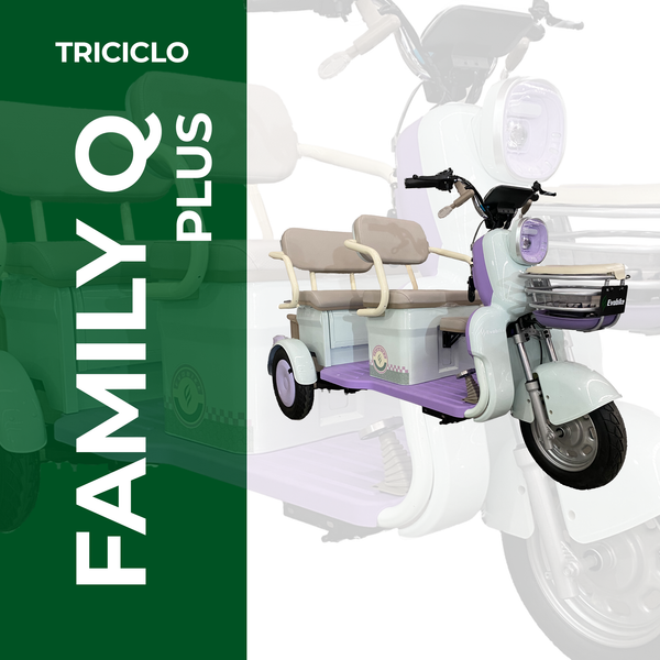 FAMILY Q PLUS