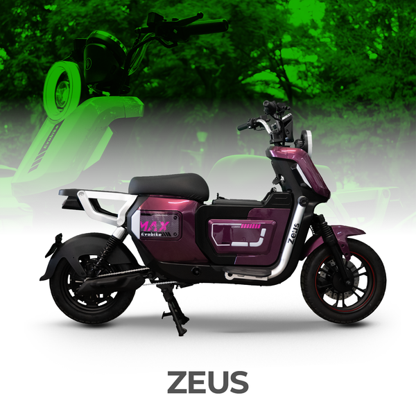 Bicicleta Eléctrica ZEUS